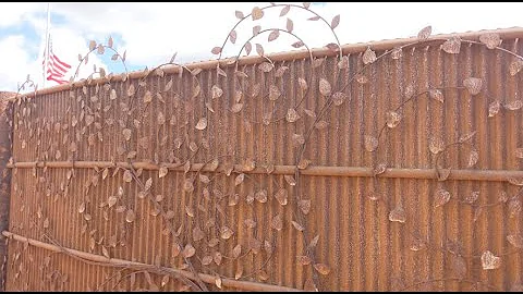 Making metal fencing rusty...on purpose and fast!