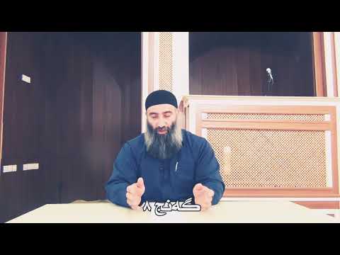 گە نــج 8 مامۆستا هە لو