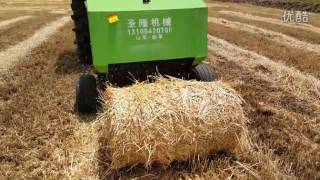 automatic mini round pine grass rice wet dry straw baler machine/wheat straw ensilage baling machine screenshot 2