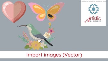 Import images vector