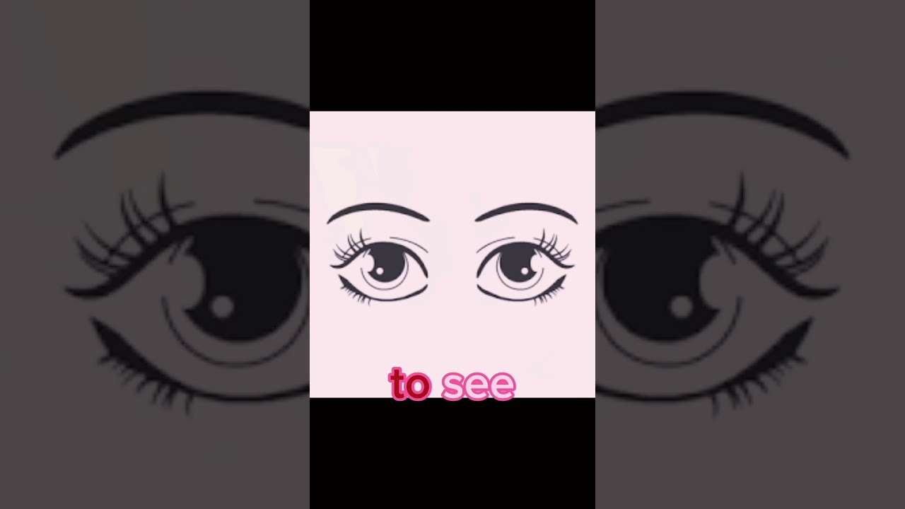 Turkish verbs/İngilizce 