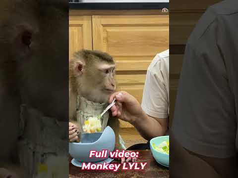 Mom... Lyly is hungry. #shorts #youtubeshorts