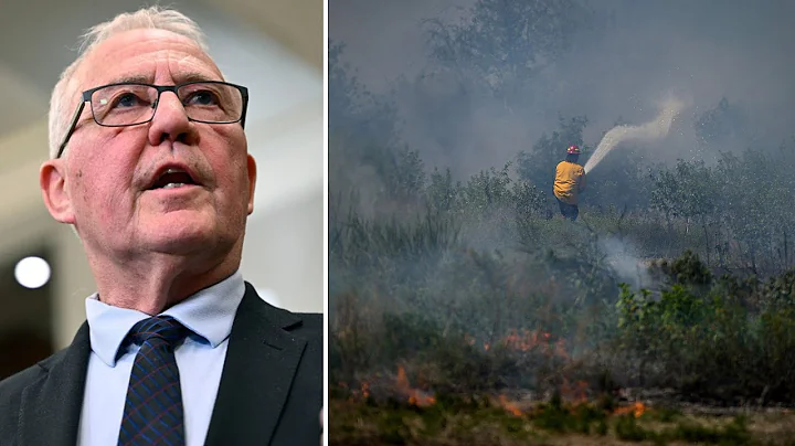 Wildfires in Canada | Minister Blair says more international firefighters are en route