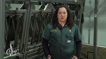 BQA Tip: Recommendations for Needle Use