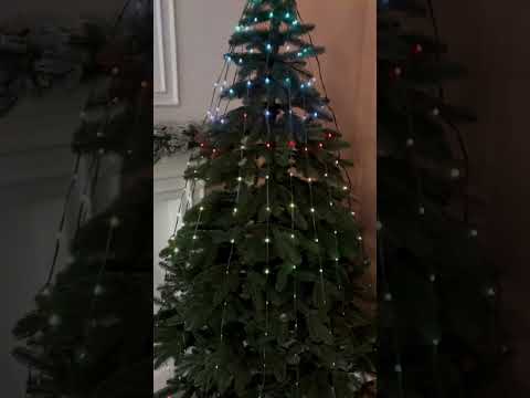 Розумна гірлянда Smart 200 LED довжина 2 м з керуванням зі смартфона прозора, мультиколор, видео 1