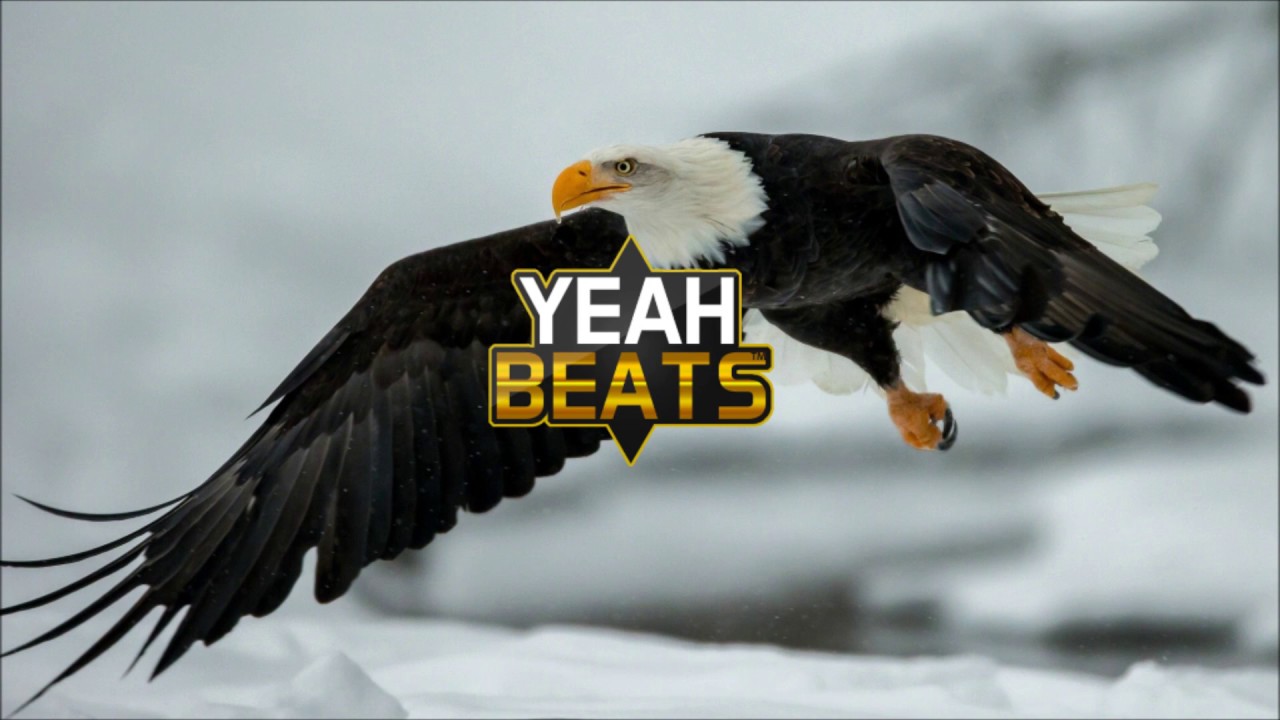 rap song 2019 HARD EPIC AGGRESSIVE CHOIR RAP BEAT Hip Hop Instrumental 2017 (prod. by DennisMusic)