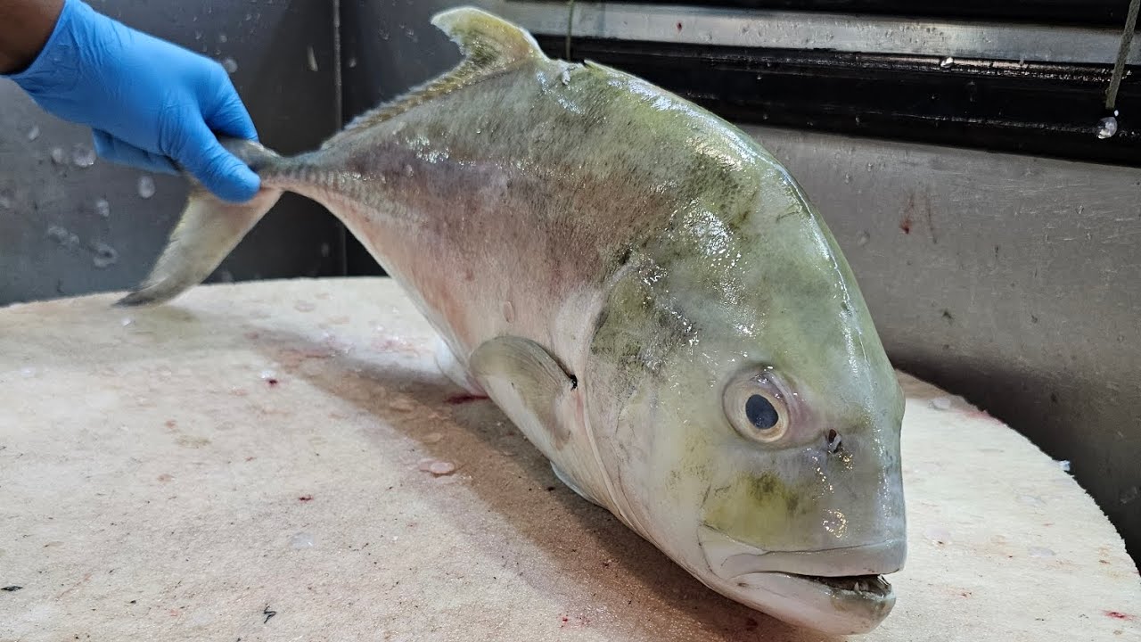 Trivelli Fish Amazing Giant Whole Trevally Fish Cutting Skills#shfresh - YouTube