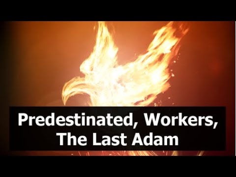 Predestinated, Workers, The Last Adam