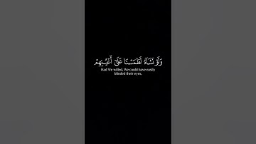 {اليوم نختم على أفواههم} بصوت القارئ يوسف الصقير كروما قران كريم شاشه سوده