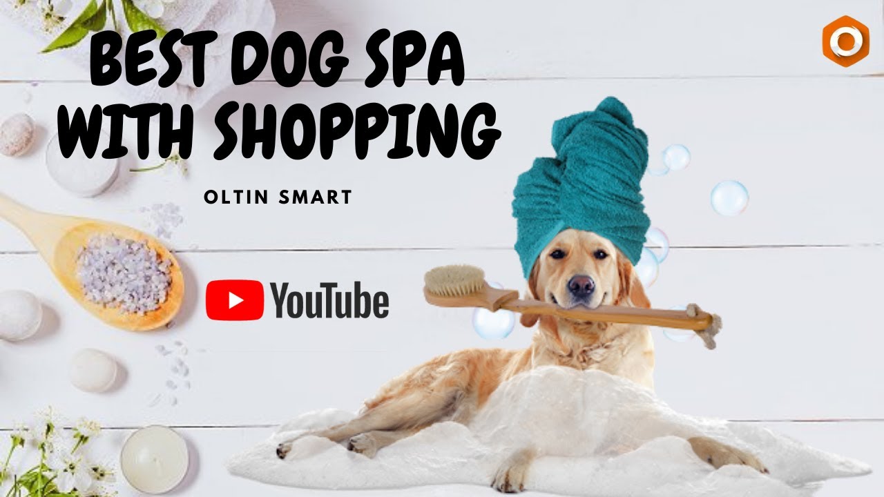best dog spa