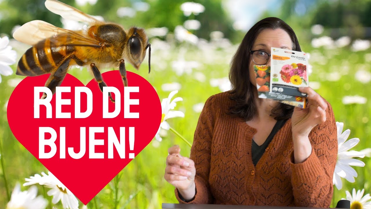 Biologische zaadjes voor een bijenparadijs!