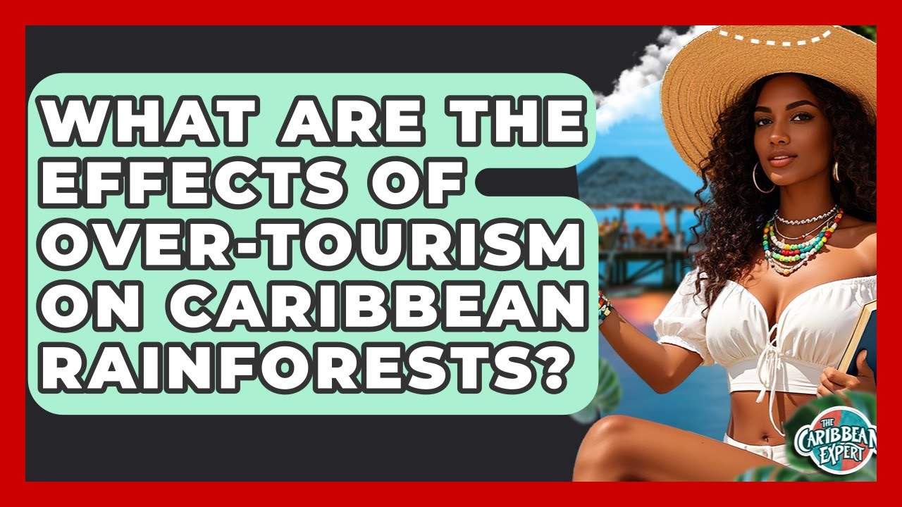 What Are The Effects Of Over-tourism On Caribbean Rainforests? - The Caribbean Expert