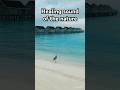 If you are missing the sound of the ocean #ocean #acousticwave #soundscape #animals #waves