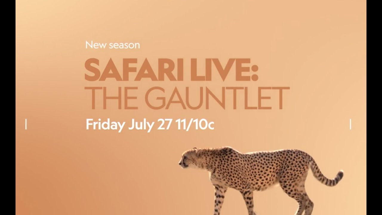 wildearth coupon safariLIVE: The Gauntlet comes to you LIVE from the African wilderness on Nat Geo WILD!