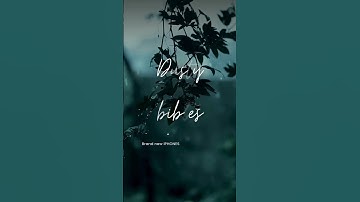 Thumbnail of dusty bibles by Josiah queen (lyrics)