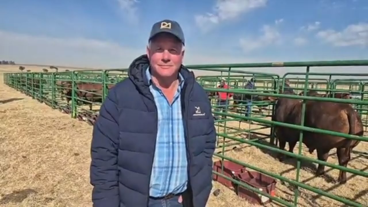 Marius Barkhuizen gesels oor die Rocky Droughtmasters aanbieding wat om 11:00 afskop vandag.