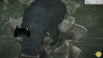 Shadow of the Colossus (2018) - Any% Skip Tutorials