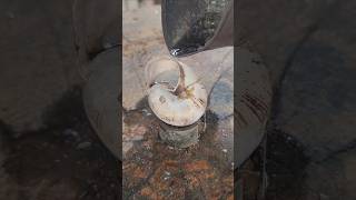 Dont Skip The Method To Inject Wastewater Into Clam Shells That No One Knows Yet