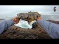 Pesca de cabrillas con señuelos de silicona ||  Fishing on the rocks or cliffs.