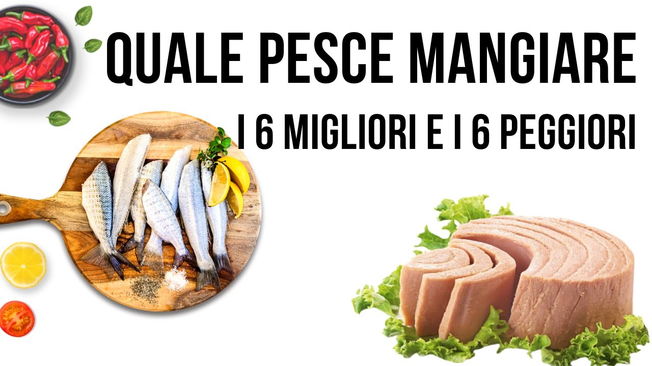 I pesci migliori da mangiare senza mercurio