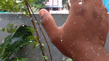 Kine master raindrop effect