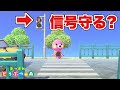 【あつ森】住民って信号ちゃんと守るの？【あつまれどうぶつの森 検証】