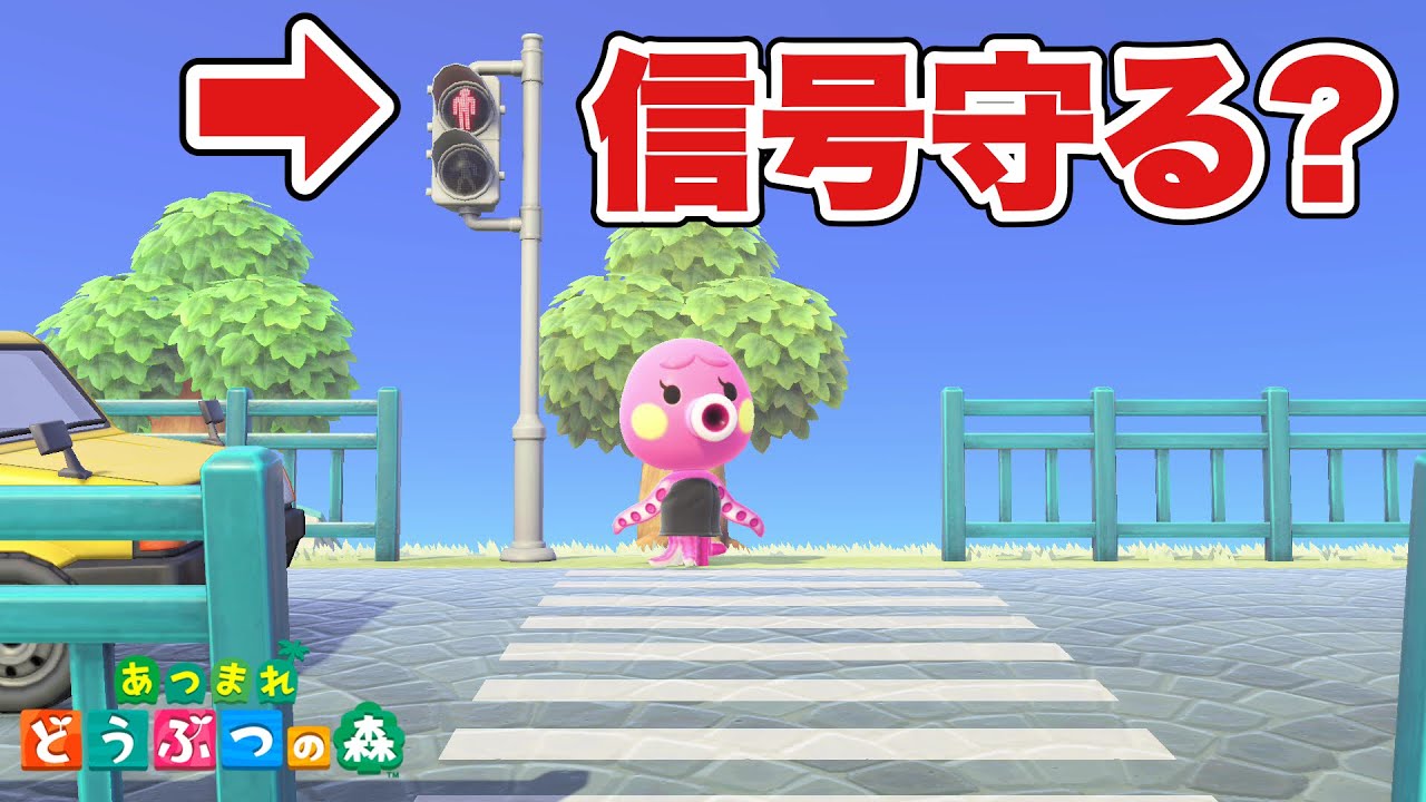 【あつ森】住民って信号ちゃんと守るの？【あつまれどうぶつの森 検証】