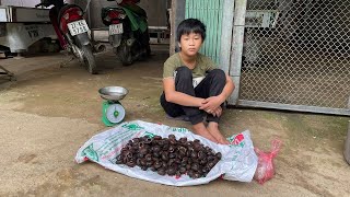 Orphan Boy - Catch Mountain Snails to Sell and Earn Money to Buy Nitrogen Fertilizer #diy by Orphan Boy 17,058 views 1 month ago 32 minutes