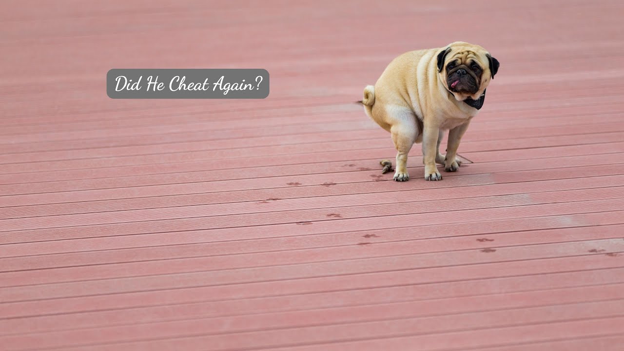 Война роз: Он снова обманул?