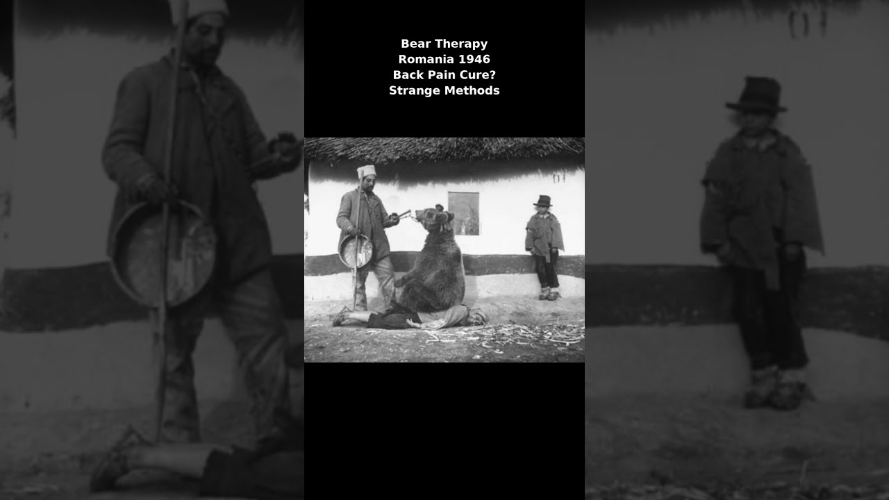 Bear Therapy in Romania 1946