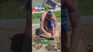 DIY Composting Simple Soil Enrichment Method