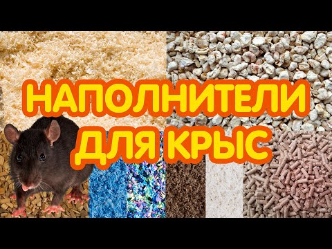 Наполнитель для крыс какой лучше?