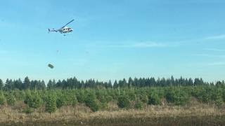 Amazing Helicopter Pilot Moving Christmas Trees