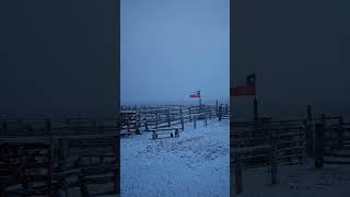 Nieve en Estancia Mercedes. Puerto Natales Región de Magallanes Patagonia Chilena 🇨🇱