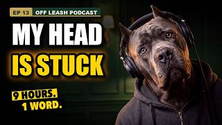 Smart Dogs Tilt Their Heads More. Science Says So