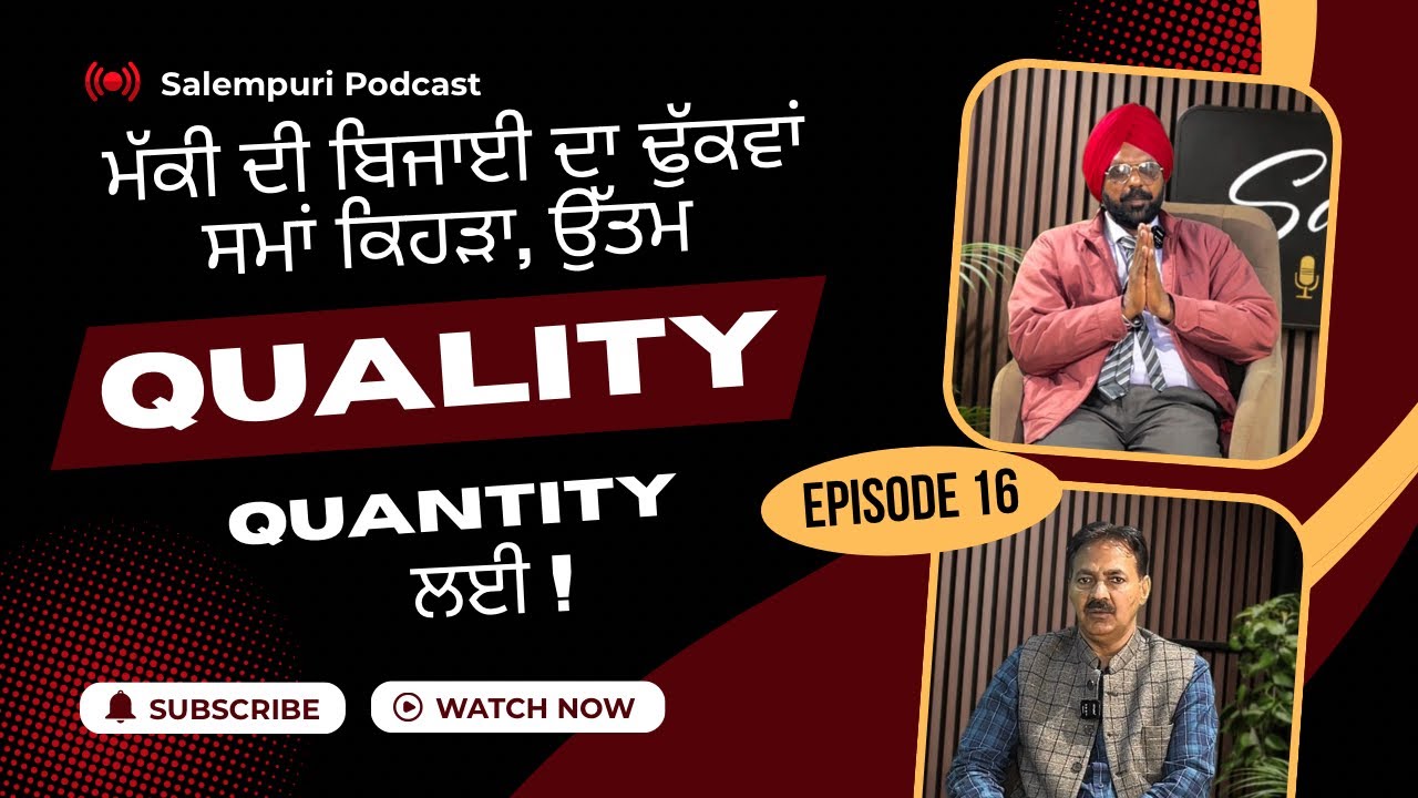 150 ਦਿਨਾਂ ਤੱਕ ਪੱਕਣ ਵਾਲੀ ਮੱਕੀ ਦੀ ਫਸਲ ਜਿਥੇ ਗੁਣਵੱਤਾ ਭਰਪੂਰ ਹੁੰਦੀ ਹੈ ਉੱਥੇ ਉਤਪਾਦਨ ਵੀ ਜ਼ਿਆਦਾ ਹੁੰਦਾ ਹੈ!