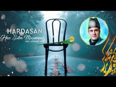 Selim Muezzinzade - Hardasan Mehdi Can (mix) 2021