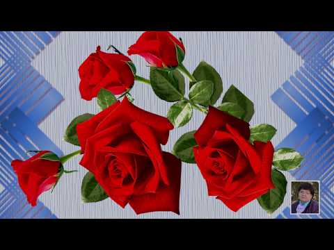 Проект ' С днём рождения'