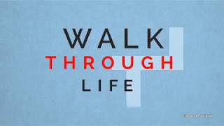 Walk Through Life by Pinkzebra feat. Benji Jackson