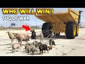 GTA 5 ONLINE : TUG OF WAR ANIMAL EDITION (WHO WILL WIN?)