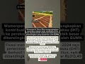 wah ternyata #dakwah #trending #motivasi #shortvidio #fyp #short #viralvidio #islam #quotes