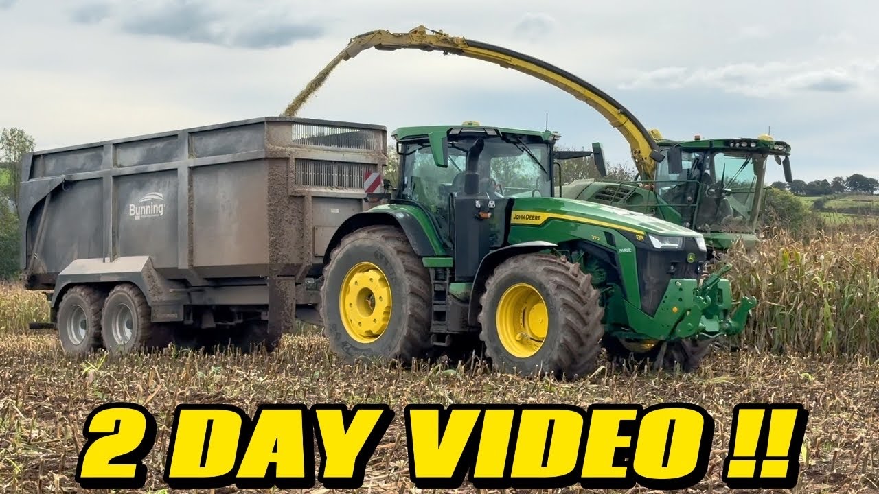 УБОРКА И ЗАСЕЯНИЕ ЗЕМЛИ ПРОВЕДЕНЫ ЗА 2 ДНЯ, КУКУРУЗА СНЯТА, ПШЕНИЦА ПОСЕЯНА.