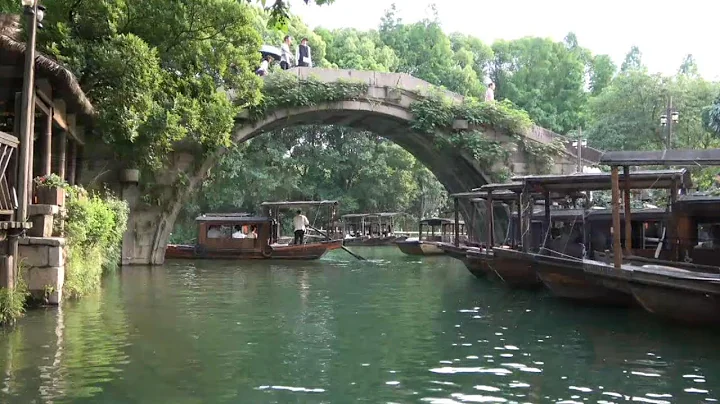 《乌镇游记》2023/5/29参加景德镇台达公司举办的旅游 - 天天要闻
