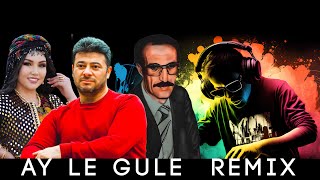 Ay Le Gule Remix seyda perinçek & Chopy Fatah & mihemed şexo Yapay Zeka Şarki Resimi