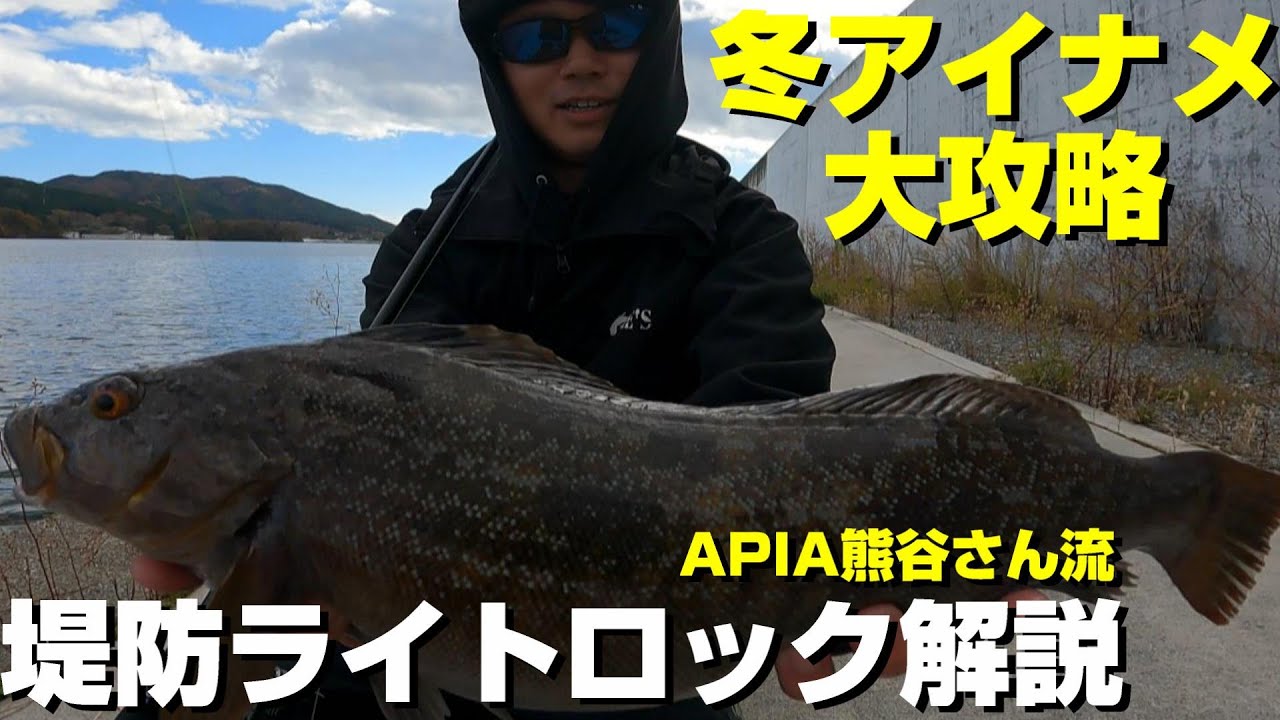 【アイナメワーム】40オーバー連発！浅場の冬アイナメをライトロックで攻略！