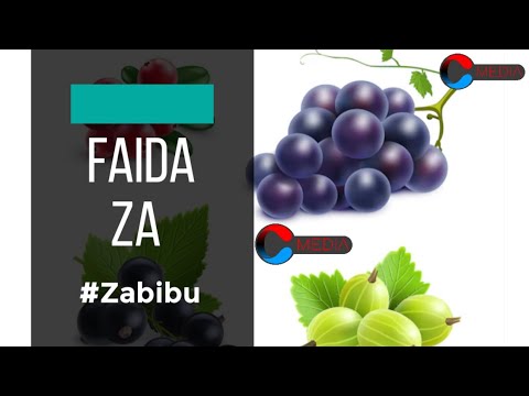 Faida Za Zabibu Mwilini Maajabu Ya Zabibu Mwilini Zijue Faida Za Zabibu Mwilini 