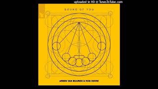 Armin Van Buuren & Rob Swire - Sound Of You Extended Mix