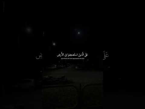 حالات واتس آب قرآنية محمد صديق المنشاوي سورة القصص 