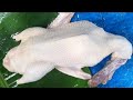 കിടിലം താറാവ് ക്ലീനിങ്/how to clean a duck/amazing duck cleaning &cutting in my home