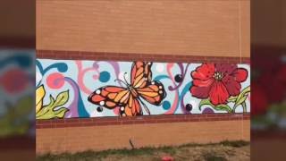 Heilmann Rec  Center - Mural by Art of Shadia
